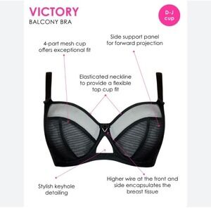 Curvy Kate Victory Balcony Bra Black Mesh Underwired 36F UK 36G USA CK9001 NWT